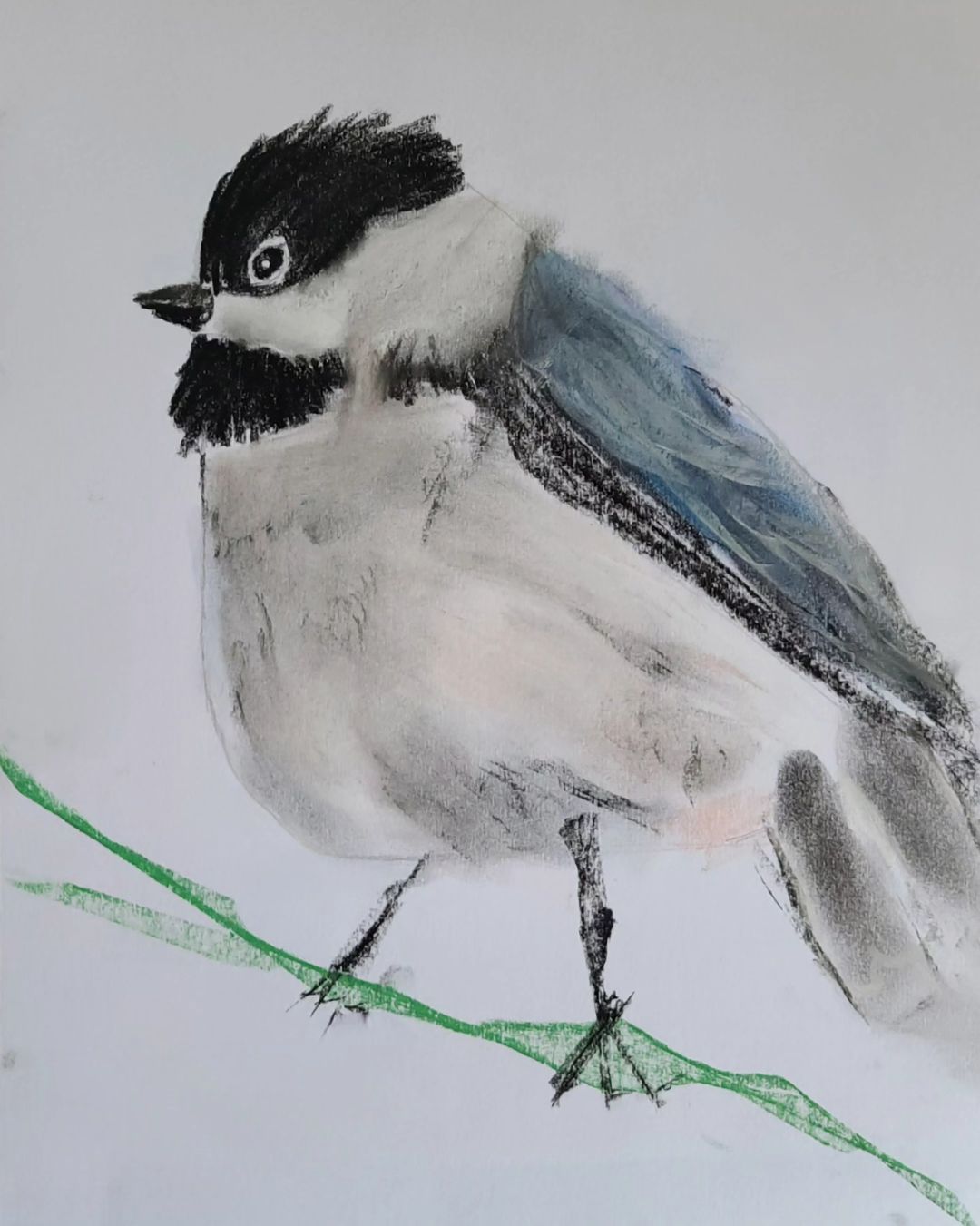 Chickadee